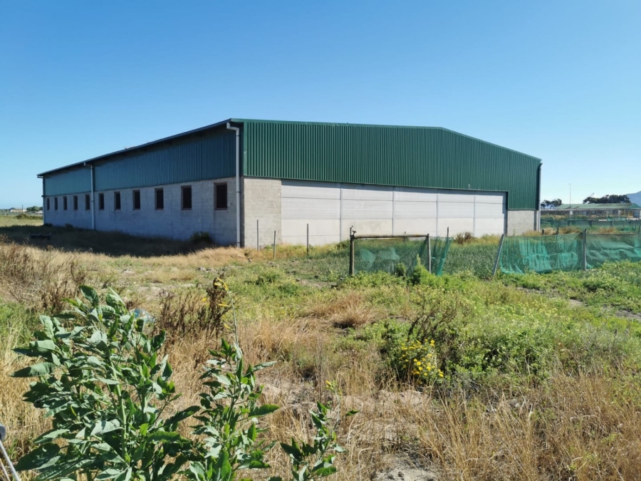  Bedroom Property for Sale in Philippi Western Cape